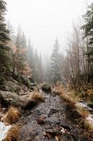 ruisseau dans les bois enneigés photo