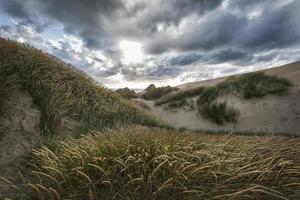 journée dans les dunes photo