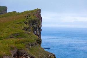 cap latrabjarg, vestfirdir, islande, bord du monde photo