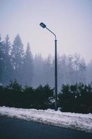 lampadaire dans la brume matinale photo