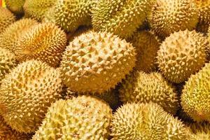gros plan durian