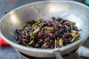 asie du sud-est, thaïlande les grillons frits sont cuits à l'huile dans la poêle avec une cuisinière à gaz de pique-nique portable en plein air. photo