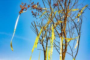 arbre sec avec le ruban jaune dessus en plein ciel. photo