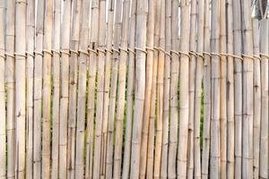 les poteaux de bambou sont attachés ensemble dans la rangée pour être une cloison et un mur. photo
