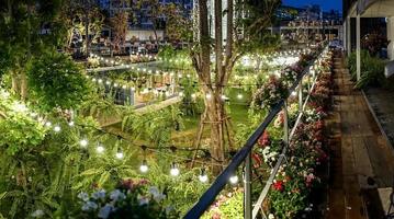 la ligne lumineuse de tungstène a été décorée dans le jardin de conteneurs la nuit. photo