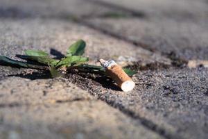 mégot de cigarette allongé sur un trottoir photo