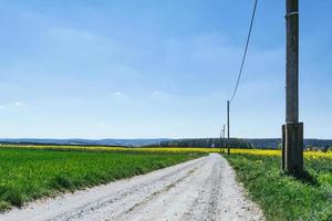 route de campagne en été photo