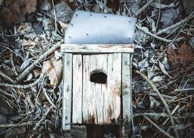 une vieille maison d'oiseau dans la nature photo