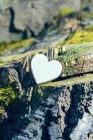 coeur sur une souche d'arbre photo