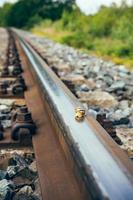 escargot sur une voie ferrée photo