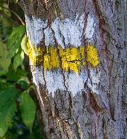 signe de randonnée sur un tronc d'arbre photo