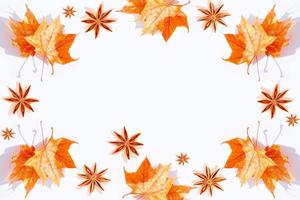 feuilles d'automne aux couleurs vives photo