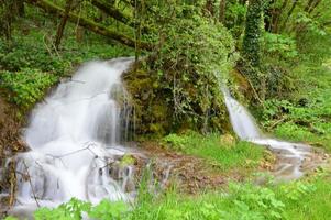 après la pluie photo