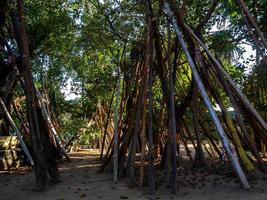 les béquilles traditionnelles pho, la signification du maintien du bouddhisme pour la longévité photo