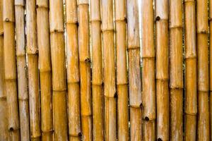 texture de mur d'abattage naturel décorant de bambou photo