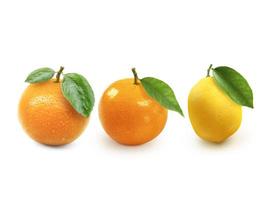 agrumes. orange, citron, isolé sur fond blanc. le recueil photo
