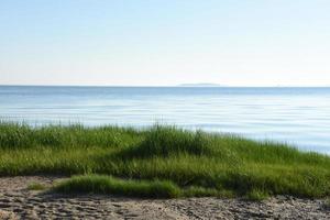 vue sur la baie depuis la plage avec de l'herbe des marais photo