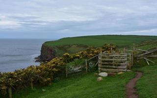 superbe sentier le long des falaises de st bees photo