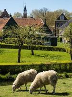 la ville néerlandaise d'enkhuizen photo