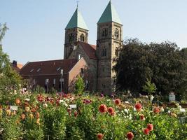 dahlias dans un jardin allemand photo