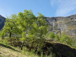 printemps à flam en norvège photo