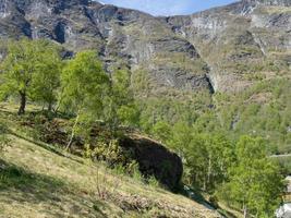 printemps à flam en norvège photo