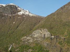 printemps en norvège photo