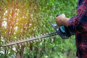 jardinier tenant un taille-haie électrique pour couper la cime des arbres dans le jardin. photo