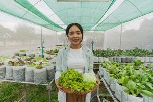 une jardinière a récolté des légumes frais dans la ferme. agriculteur asiatique dans une ferme biologique de légumes. concept de ferme biologique hydroponique. photo
