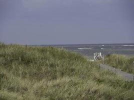 l'île spiekeroog en mer du nord photo