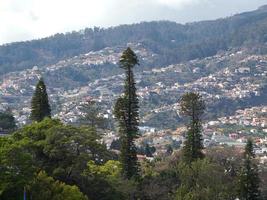 Funchal et l'île de Madère photo