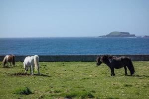 lerwick et les îles shetland photo