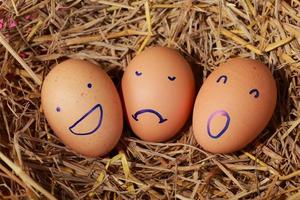 émotion d'œufs frais sur une paille. photo