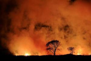 un feu de brousse brûlant de la fumée orange et rouge remplissait le ciel la nuit. photo