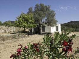 l'île d'ibiza en espagne photo