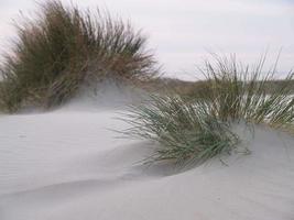 île de borkum en allemagne photo