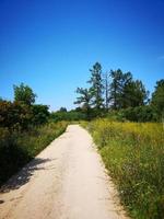 une route au milieu d'un champ photo