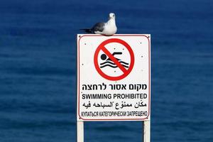 signalisation routière et signalisation en israël photo