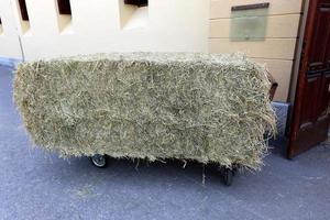 paille sur un champ de ferme collective pour l'alimentation du bétail photo