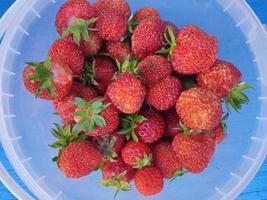 seau plein de fraises fraîchement cueillies sur une table bleue. photo