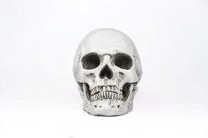 Crâne humain artificiel isolé sur fond blanc photo