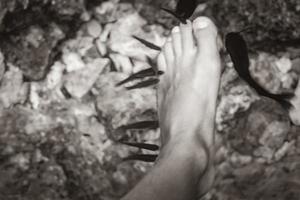 les poissons mordent les pieds dans l'eau cenote tajma ha mexico. photo