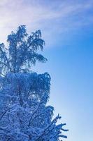 vue panoramique sur le paysage de neige et de glace d'hiver enneigé bremerhaven allemagne. photo