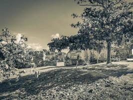 ruines antiques de tulum site maya temple pyramides artefacts paysage marin mexique. photo