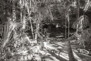 entrée et chemin de randonnée cave gouffre cenote tajma ha mexique. photo