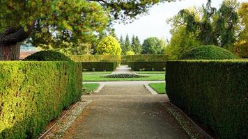 jardin à la française dans le parc photo