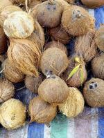 présentoir de noix de coco locales sur toile photo