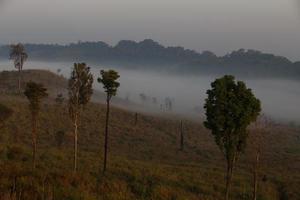 montagne de brouillard au lever du soleil tôt le matin photo