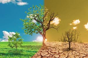Image conceptuelle du réchauffement climatique montrant les effets de la terre sèche photo