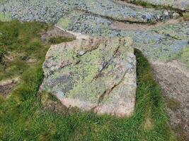une variété de lichens sur un grand rocher de granit rose en plein air photo